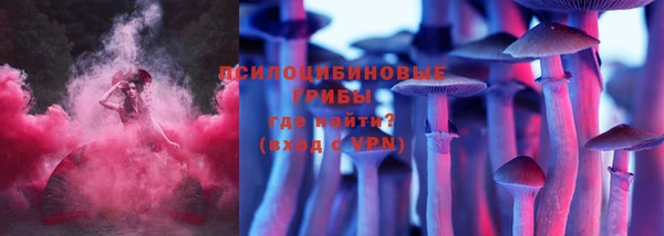 дживик Армянск